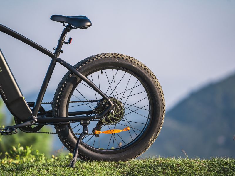 DYU King 750 - Bicicleta eléctrica - Wheelyshop
