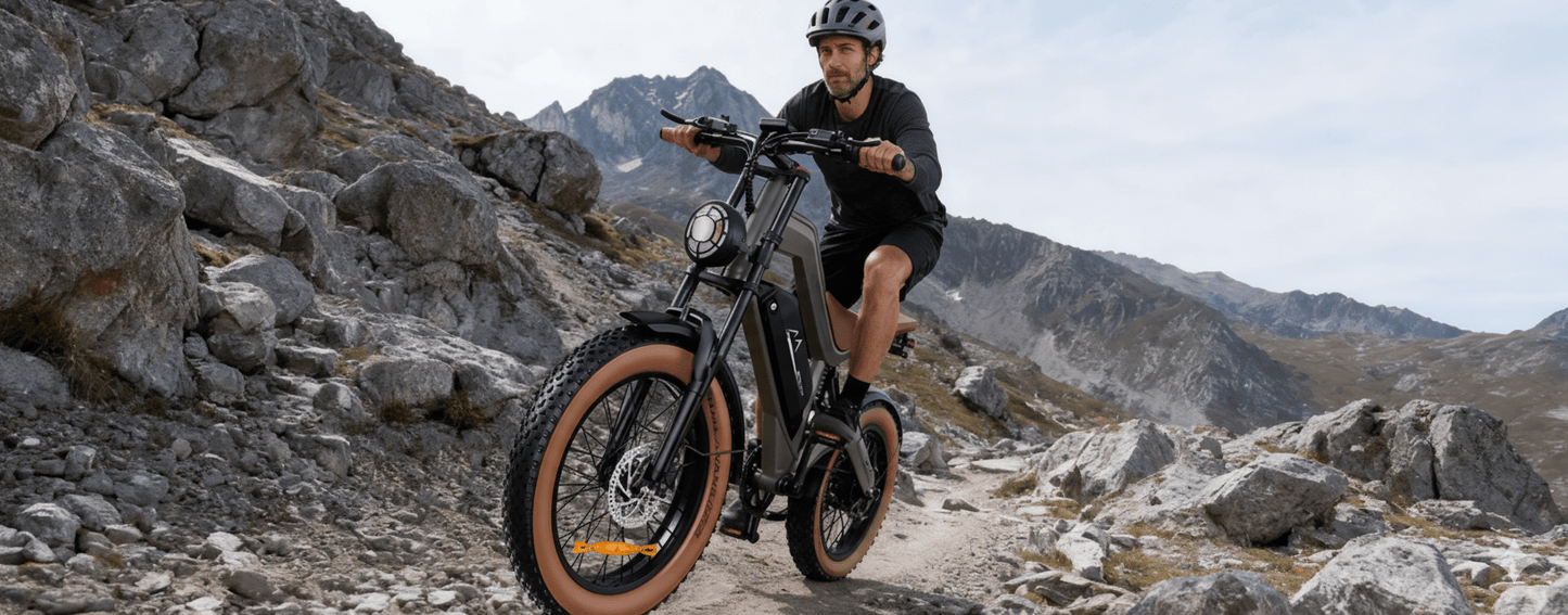 DYU M20 - Elcykel - Wheelyshop