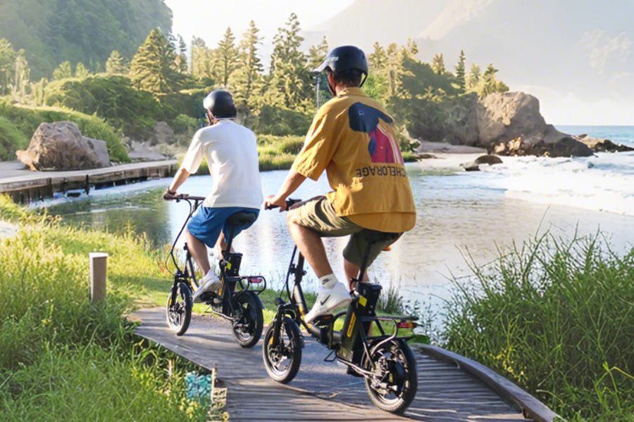 Hidoes C5 - Elcykel - Wheelyshop