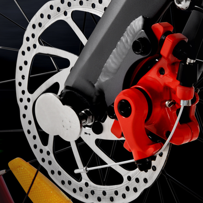 DYU SP1