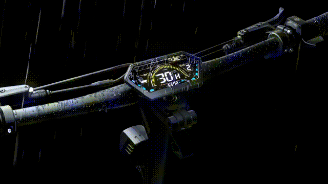 Hiley Tiger EVO GTR Elsparkcykel Display