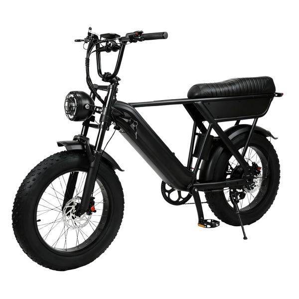 YANGOR Y20