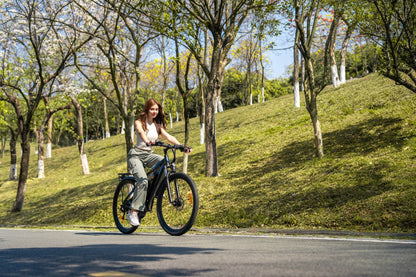 Duotts C29 Pro - Elcykel - Wheelyshop