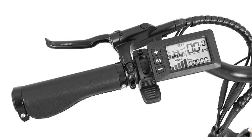 DYU C9 - Bicicleta eléctrica - Wheelyshop
