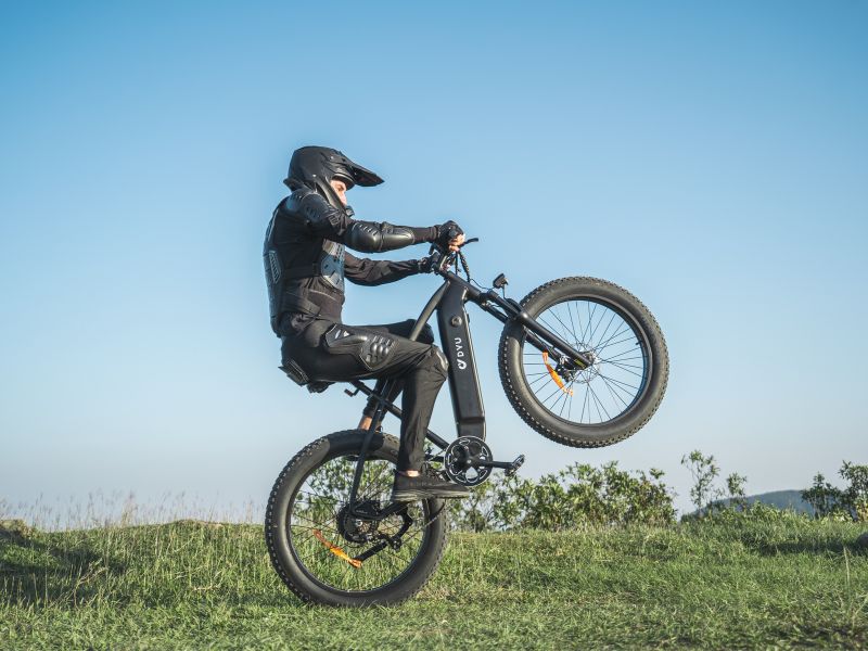DYU King 750 - Bicicleta eléctrica - Wheelyshop