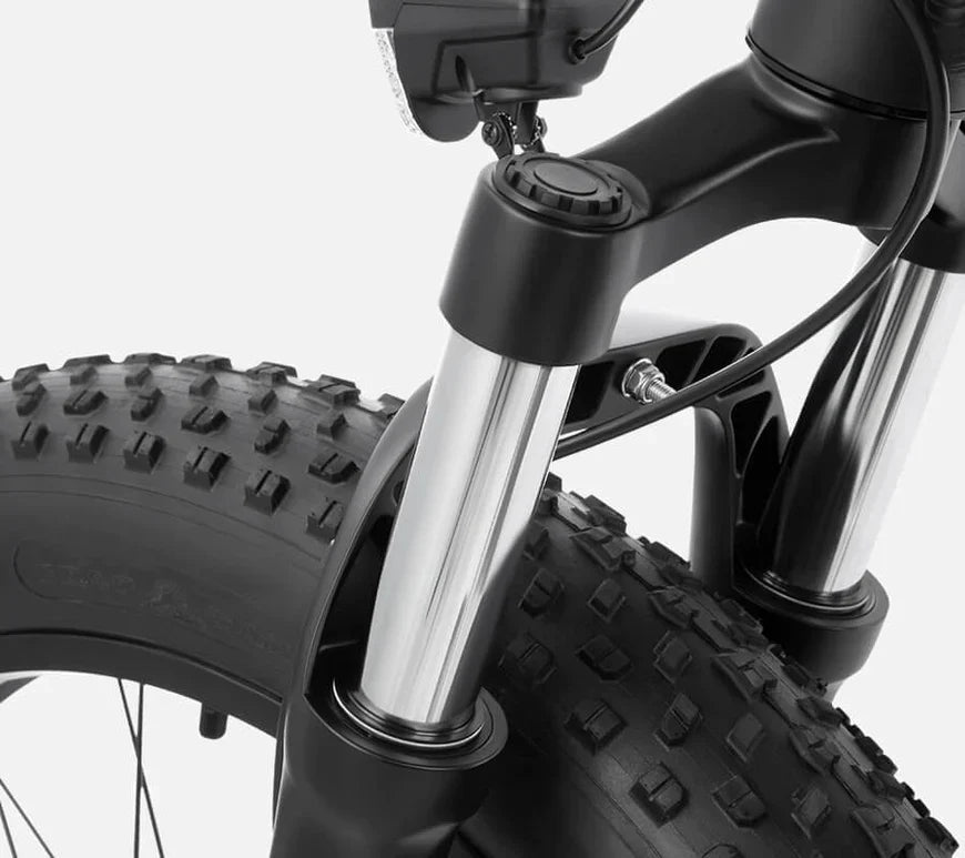 DYU King 750 - Bicicleta eléctrica - Wheelyshop