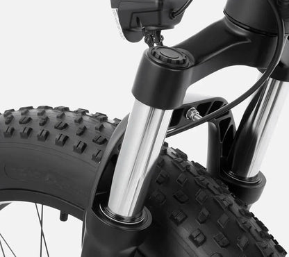 DYU King 750 - Bicicleta eléctrica - Wheelyshop