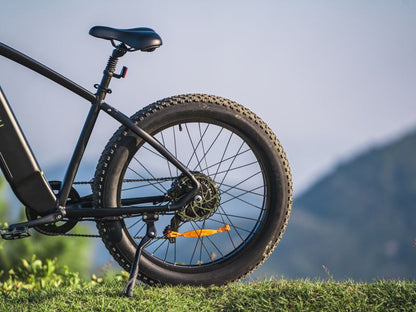 DYU King 750 - Bicicleta eléctrica - Wheelyshop
