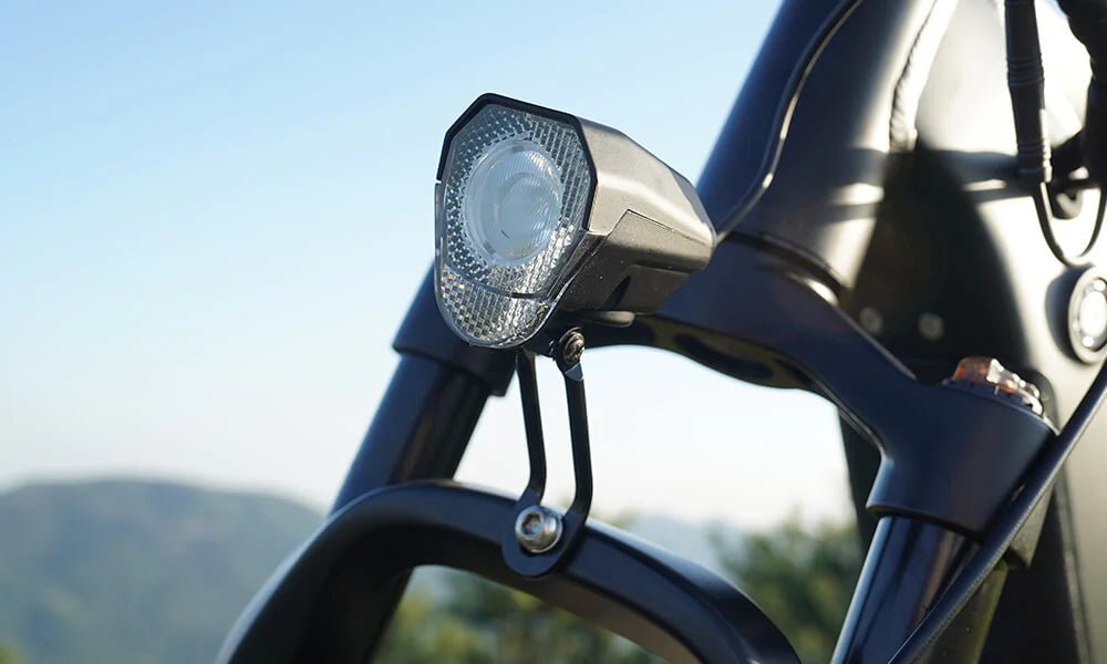 DYU King 750 - Bicicleta eléctrica - Wheelyshop