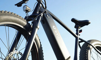 DYU King 750 - Bicicleta eléctrica - Wheelyshop