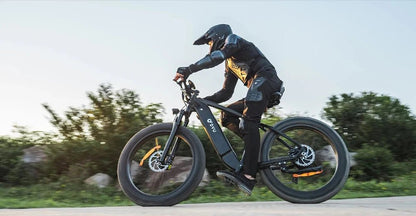 DYU King 750 - Bicicleta eléctrica - Wheelyshop