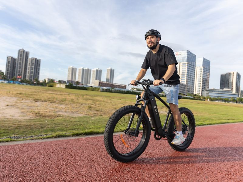 DYU King 750 - Bicicleta eléctrica - Wheelyshop