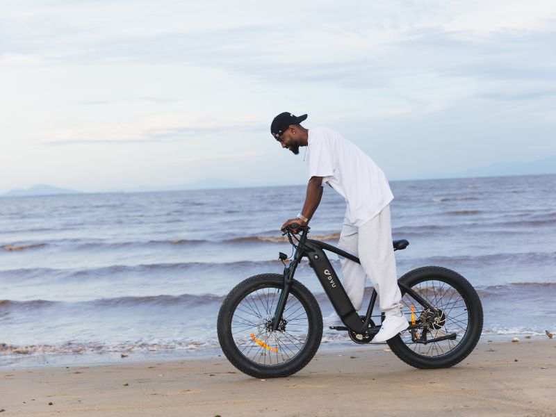 DYU King 750 - Bicicleta eléctrica - Wheelyshop