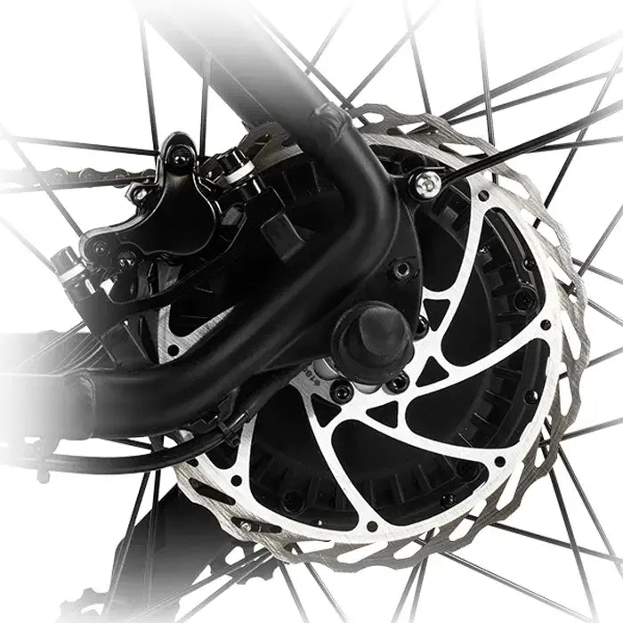 DYU King 750 - Bicicleta eléctrica - Wheelyshop