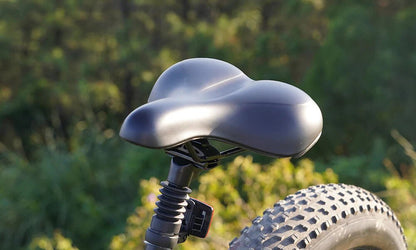 DYU King 750 - Bicicleta eléctrica - Wheelyshop