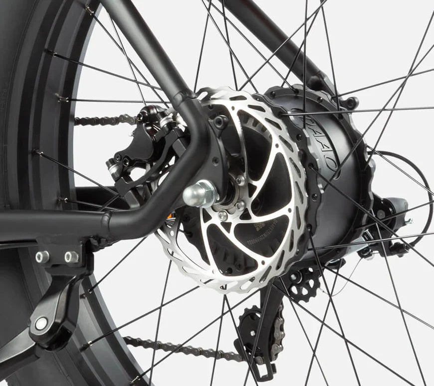 DYU King 750 - Bicicleta eléctrica - Wheelyshop