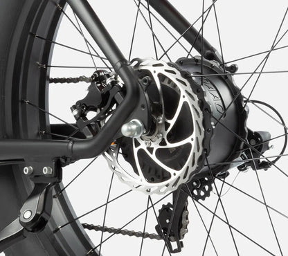 DYU King 750 - Bicicleta eléctrica - Wheelyshop