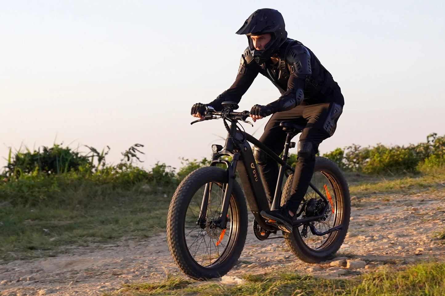 DYU King 750 - Bicicleta eléctrica - Wheelyshop