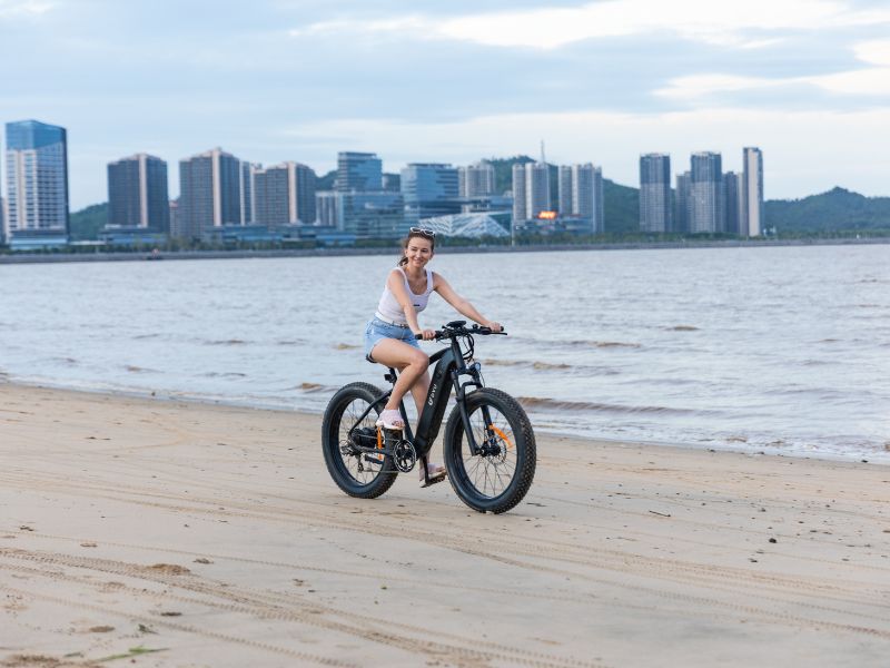 DYU King 750 - Bicicleta eléctrica - Wheelyshop