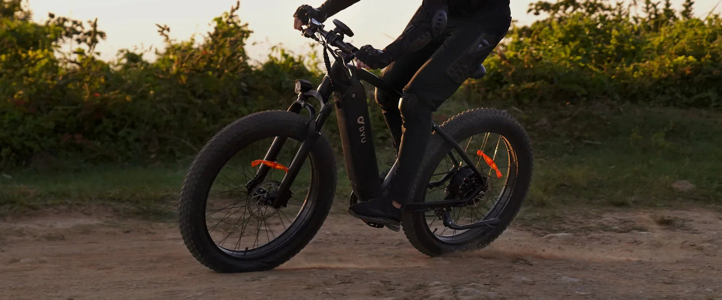 DYU King 750 - Bicicleta eléctrica - Wheelyshop
