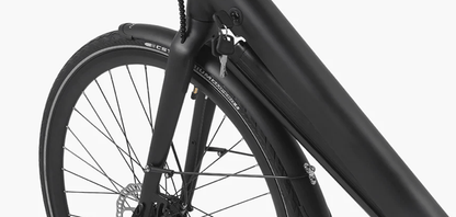 DYU Stroll 1 - Bicicleta eléctrica - Wheelyshop