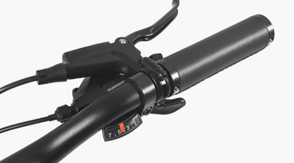 DYU Stroll 1 - Bicicleta eléctrica - Wheelyshop