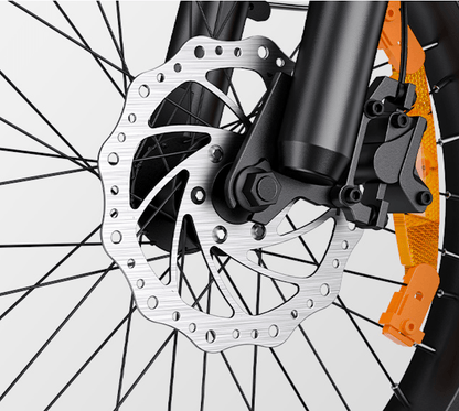 ENGWE L20 3.0 Boost - Electric bike - Wheelyshop