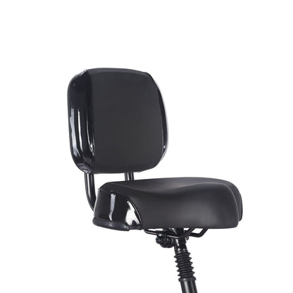 Fafrees F20 Mate (back support) - 48V 23.45Ah - Electric bike - Wheelyshop