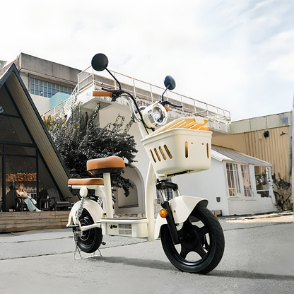 iScooter Y16