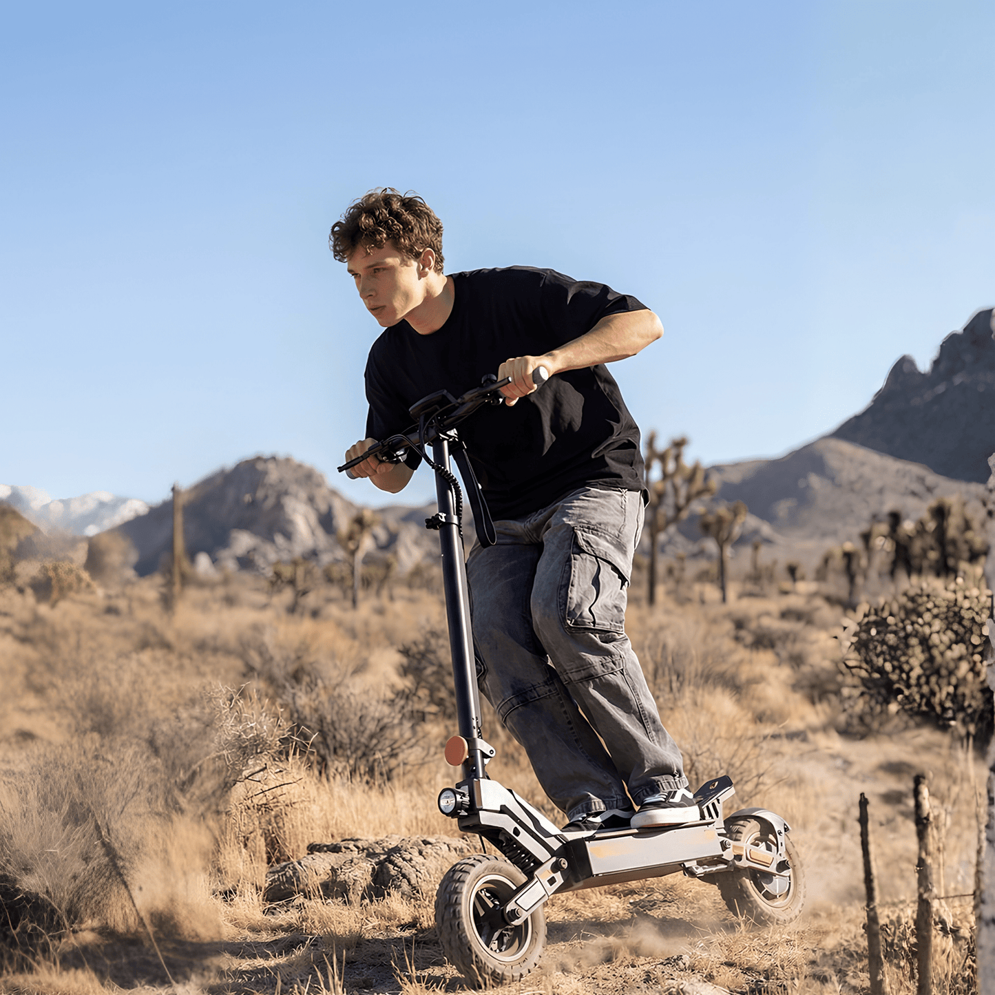 iScooter W10 - Elsparkcykel - Wheelyshop