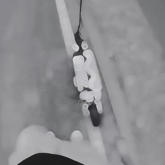 Punk-Rebel