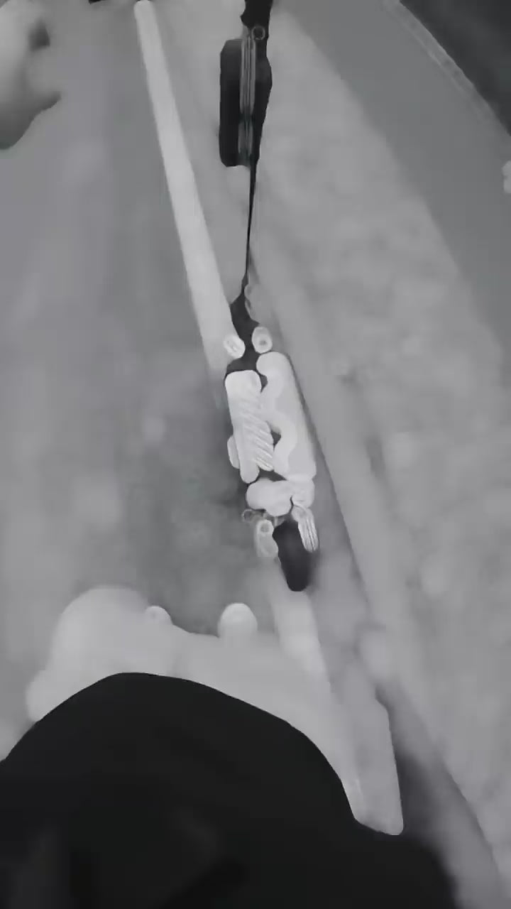 Punk-Rebel