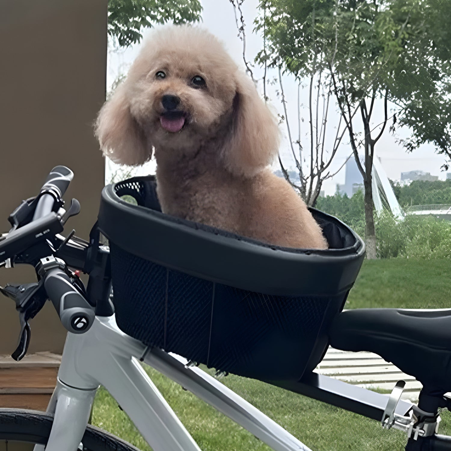 Smart hundkorg cykel - Tillbehör - Wheelyshop