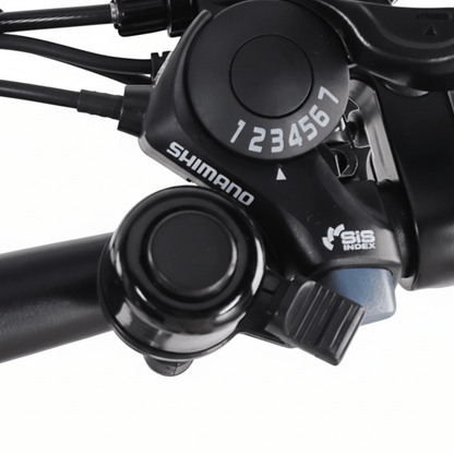 VARUN C20 - 1 - Electric bike - Wheelyshop