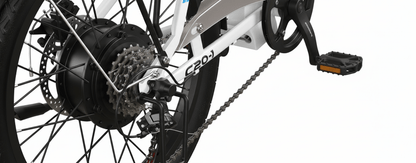 VARUN C20 - 1 - Electric bike - Wheelyshop