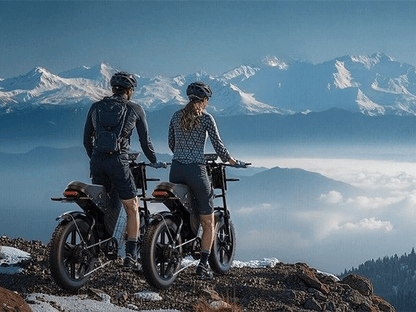 VARUN X - Plorer Beast - Elcykel - Wheelyshop