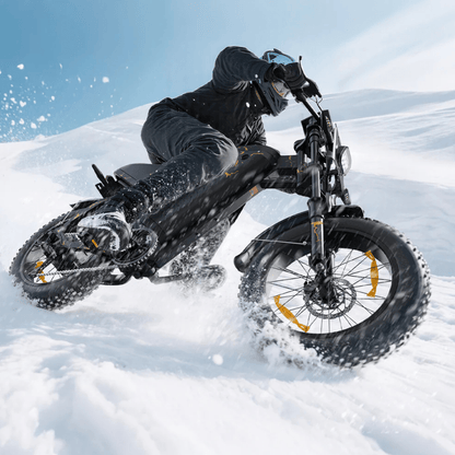 VARUN X - Plorer Raptor - Elcykel - Wheelyshop