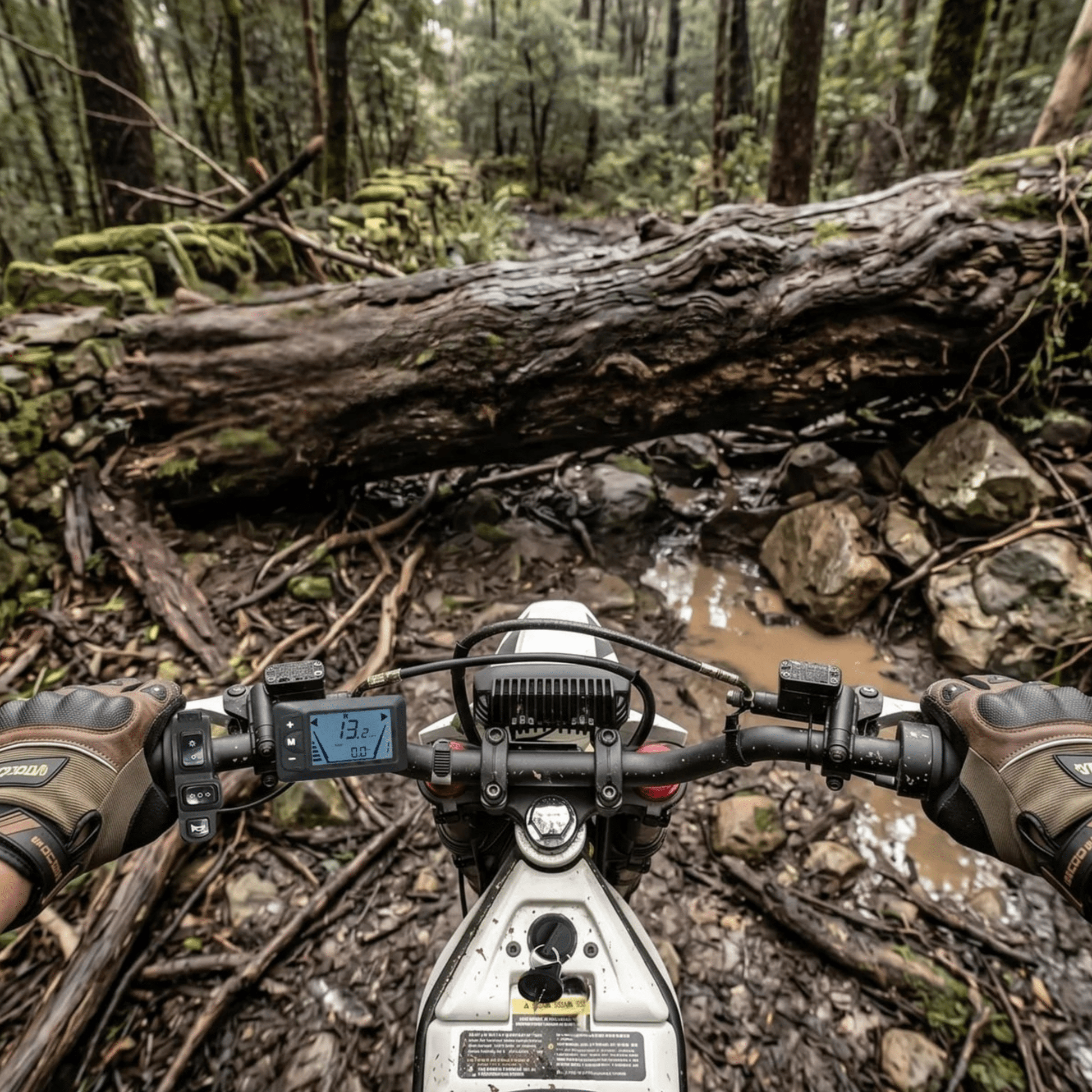 VIPCOO H2 - El-cross - Wheelyshop